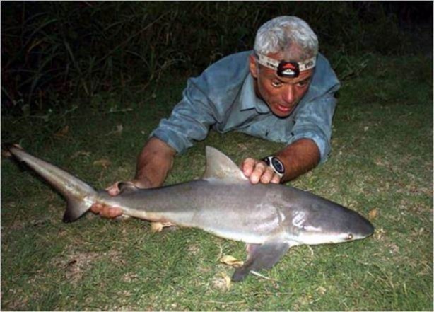 Foto - Nehirde yaşayan korkunç balıklar