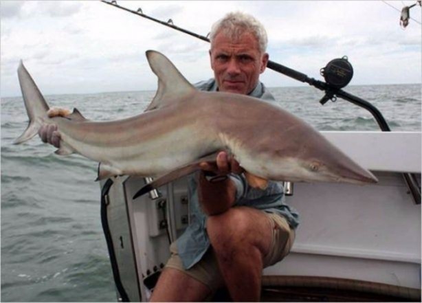 Foto - Nehirde yaşayan korkunç balıklar