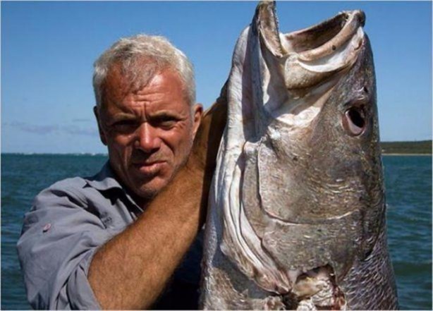 Foto - Nehirde yaşayan korkunç balıklar