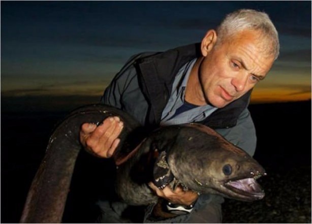 Foto - Nehirde yaşayan korkunç balıklar