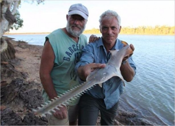 Foto - Nehirde yaşayan korkunç balıklar