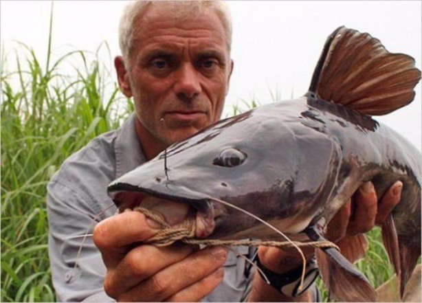 Foto - Nehirde yaşayan korkunç balıklar