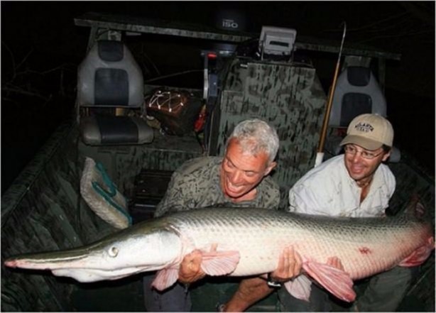 Foto - Nehirde yaşayan korkunç balıklar