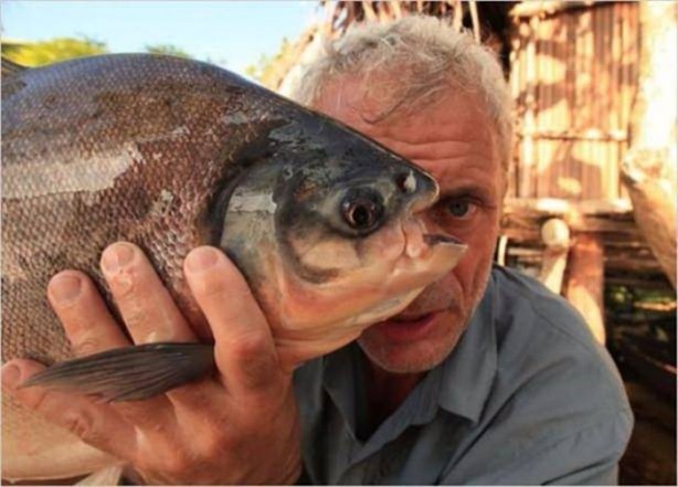 Foto - Nehirde yaşayan korkunç balıklar
