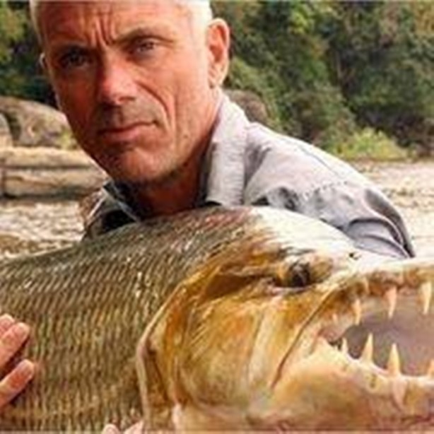 Foto - Nehirde yaşayan korkunç balıklar