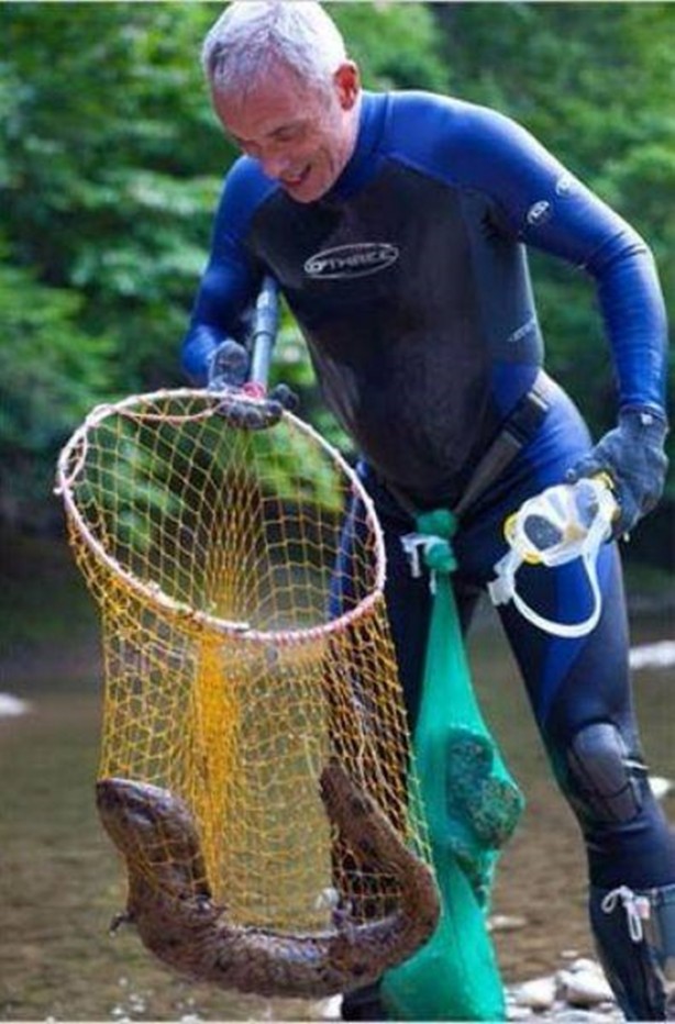 Foto - Nehirde yaşayan korkunç balıklar