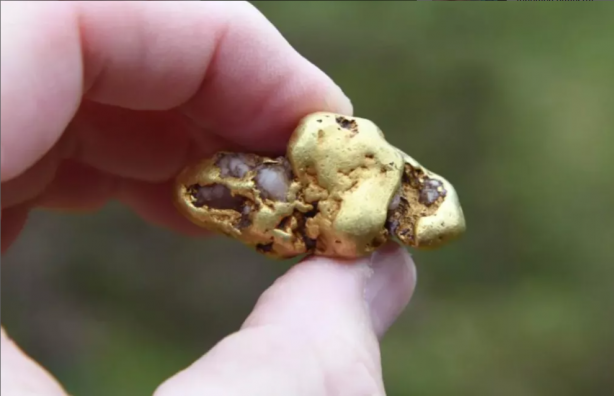 Foto - Nehirde yüzerken eline çarptı! Yanlışlıkla dünyanın en büyük altınını buldu... Ekipler nehirde harekete geçti