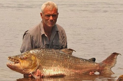 Foto - Nehirden çıkan canavar balıklar