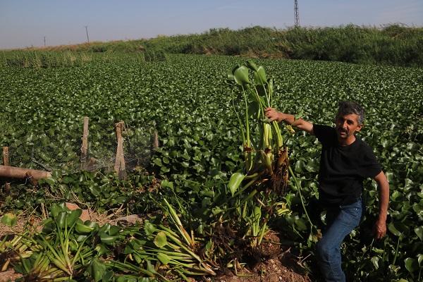 Foto - Nehri ele geçirdiler! Gören şoke oluyor
