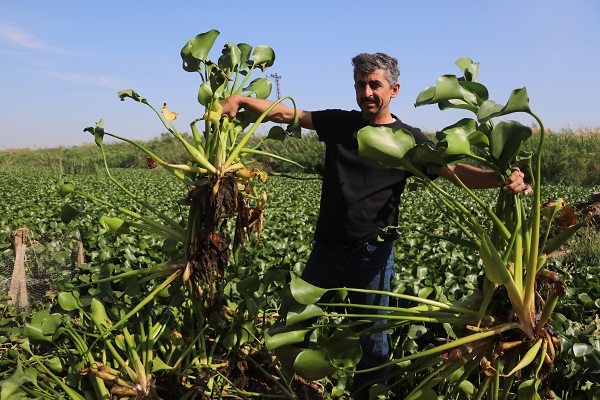 Foto - Nehri ele geçirdiler! Gören şoke oluyor