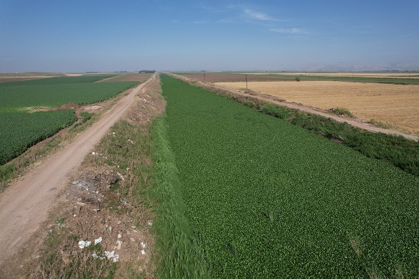 Foto - Nehri ele geçirdiler! Gören şoke oluyor