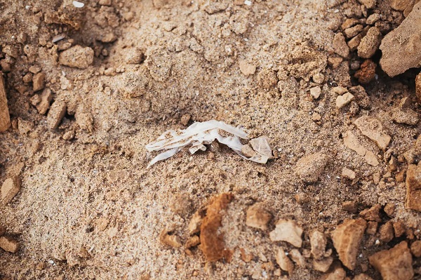 Neler var neler! İşte Mars'ta insanlara ait pislikler