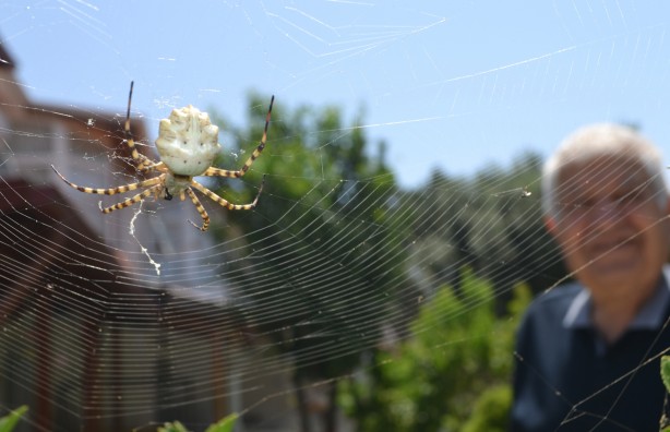 Foto - Neler yaptığını duyunca şok olacaksınız! Dünyanın en tehlikelisi bulundu