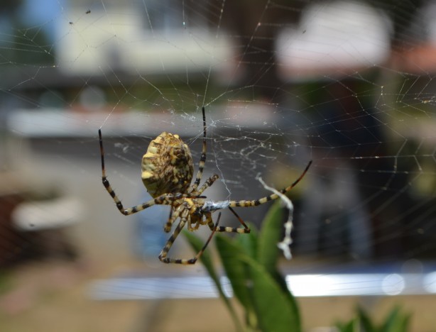 Neler yaptığını duyunca şok olacaksınız! Dünyanın en tehlikelisi bulundu