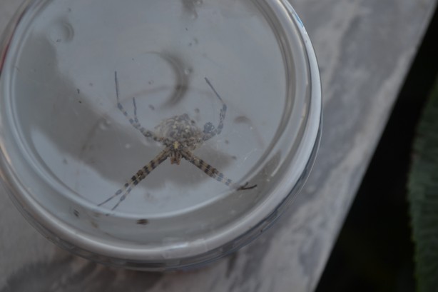 Foto - Neler yaptığını duyunca şok olacaksınız! Dünyanın en tehlikelisi bulundu