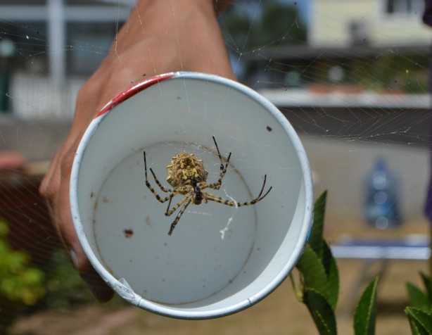 Foto - Neler yaptığını duyunca şok olacaksınız! Dünyanın en tehlikelisi bulundu