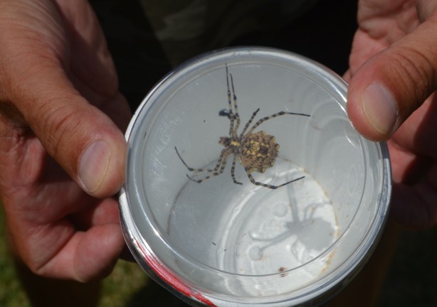 Foto - Neler yaptığını duyunca şok olacaksınız! Dünyanın en tehlikelisi bulundu