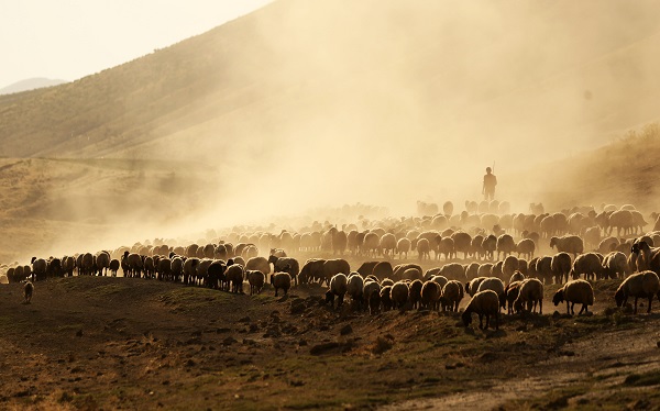 Foto - Nemrut Dağı’nda zorlu mesai