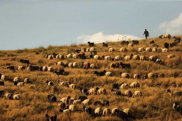 Foto - Nemrut Dağı’nda zorlu mesai
