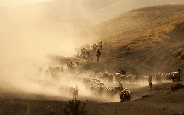 Foto - Nemrut Dağı’nda zorlu mesai