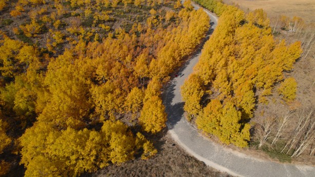 Foto - Nemrut Krater Gölü’nde eşsiz sonbahar görüntüsü