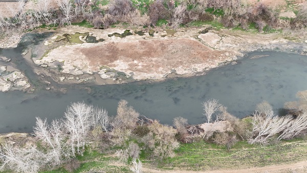 Foto - Nereden nereye! Artık orada hayvanlar otluyor