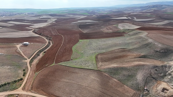 Foto - Nereden nereye! Artık orada hayvanlar otluyor