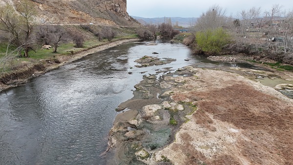 Foto - Nereden nereye! Artık orada hayvanlar otluyor