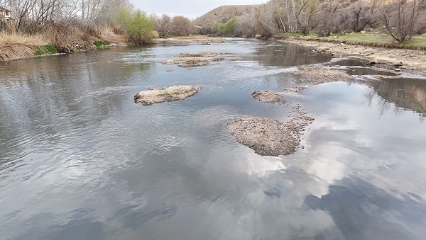 Foto - Nereden nereye! Artık orada hayvanlar otluyor