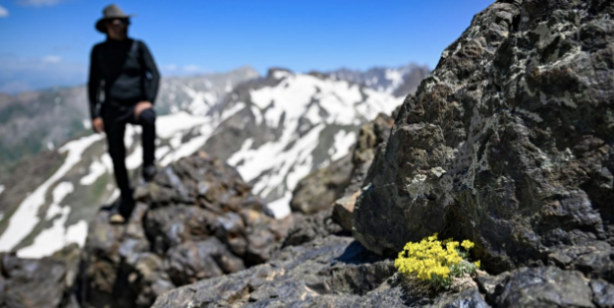 Foto - Nereden nereye! Teröristlerin cirit attığı yere bir de şimdi bakın