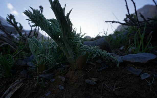 Foto - Nereden nereye! Terörün bir zamanlar cirit attığı yere bir de böyle bakın