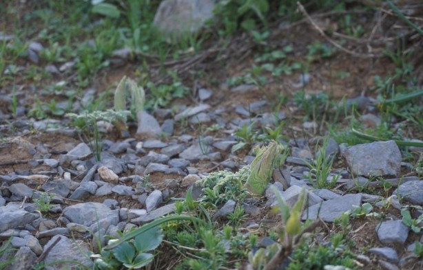 Foto - Nereden nereye! Terörün bir zamanlar cirit attığı yere bir de böyle bakın