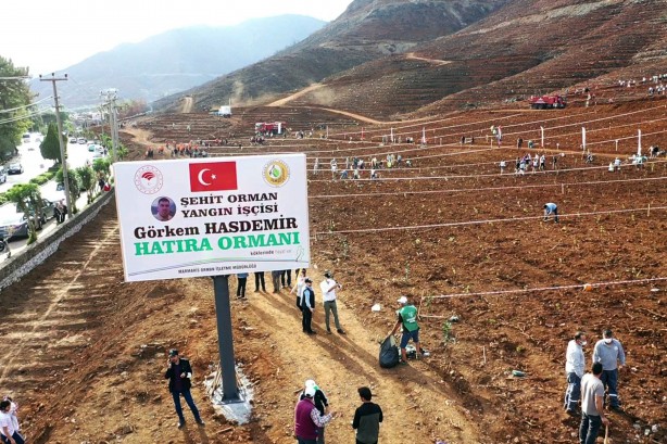 Foto - Neredesiniz rant iftirası atanlar! 2021'de yanan 60 bin hektarlık ormanın tamamı yeşillendirildi