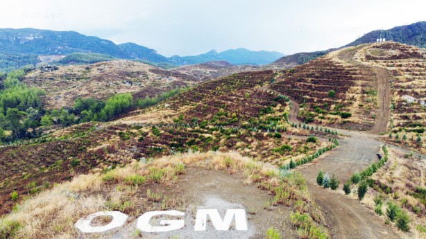 Foto - Neredesiniz rant iftirası atanlar! 2021'de yanan 60 bin hektarlık ormanın tamamı yeşillendirildi