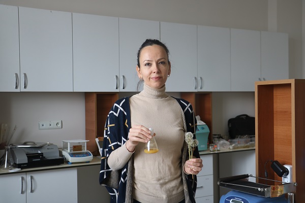 Foto - Neredeyse yetişmediği yer yok! Faydaları saymakla bitmiyor ama kimse farkında değil