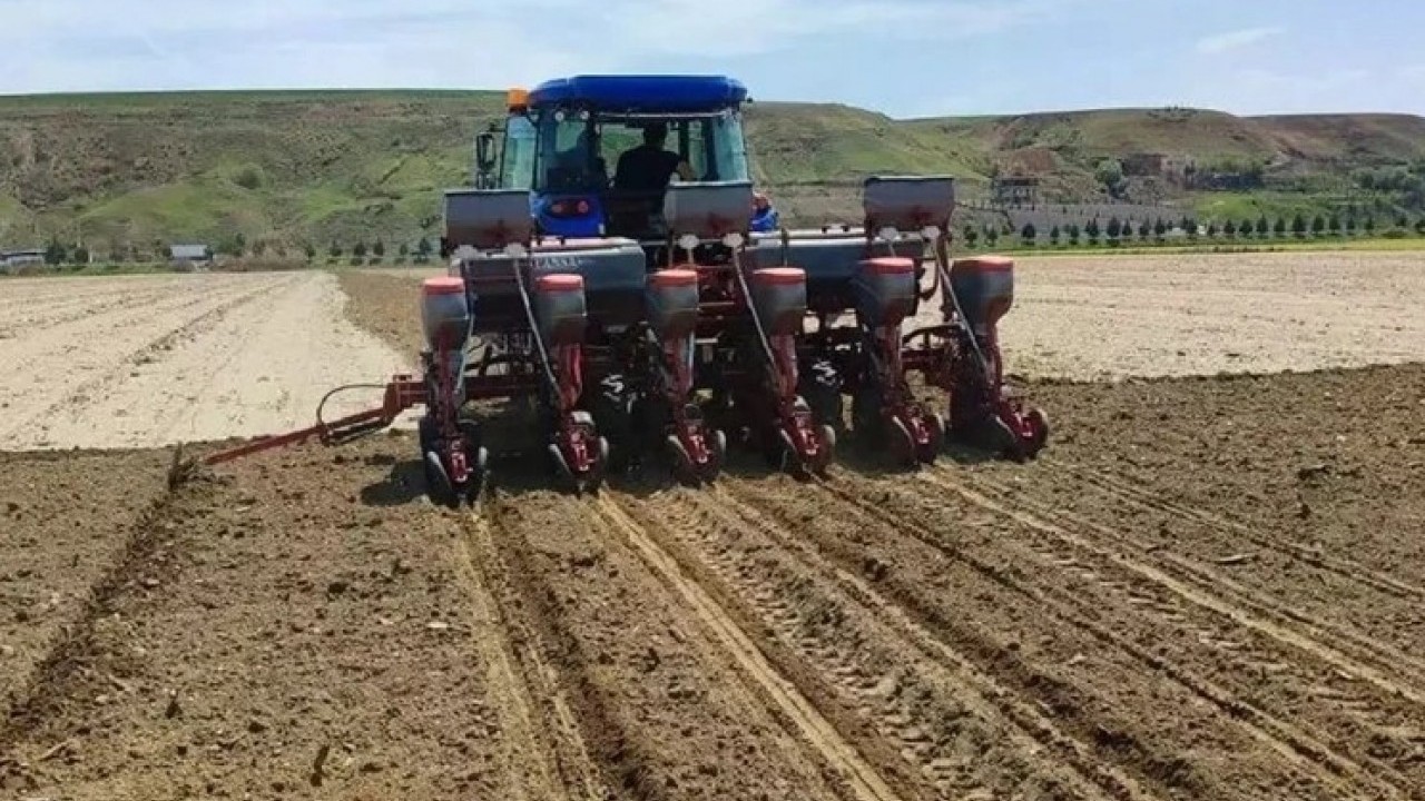 Foto - Nesiller boyu kazanç sağlayacak! Bir kez ekince 100 yıla kadar meyve veriyor