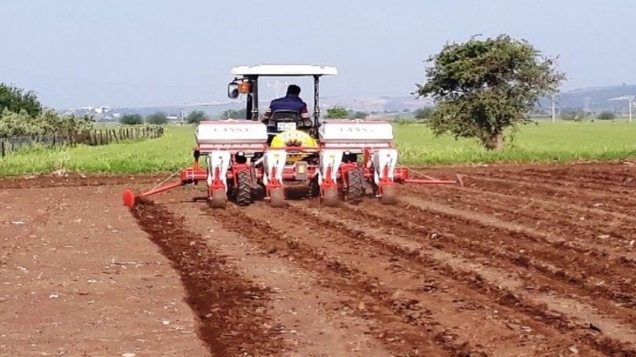Foto - Nesiller boyu kazanç sağlayacak! Bir kez ekince 100 yıla kadar meyve veriyor