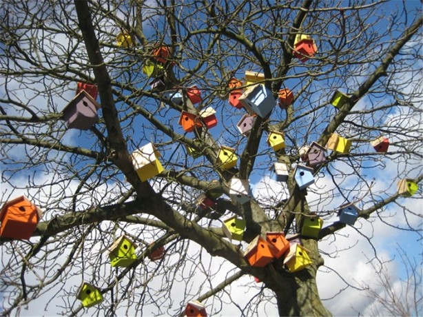 Foto - Nesilleri tükenmesin diye 3500 yuva yaptı