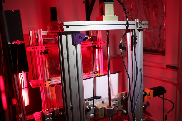 Foto - Nesli tehlike altında! Arılar için yapay zekalı koruma