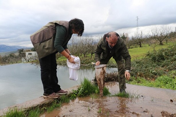 Foto - Nesli tükeniyordu! Bir vatandaş buldu