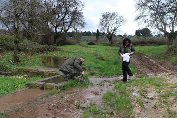 Foto - Nesli tükeniyordu! Bir vatandaş buldu