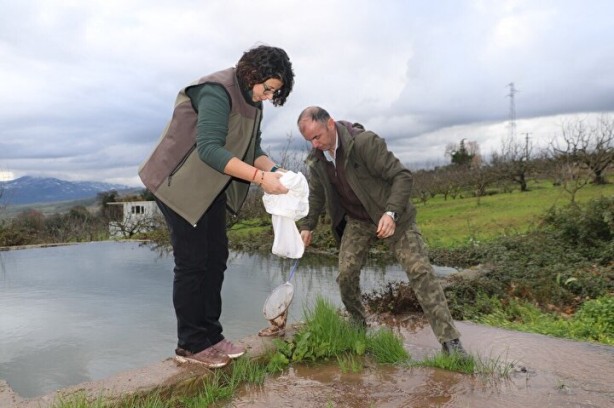 Foto - Nesli tükeniyordu! Bir vatandaş buldu