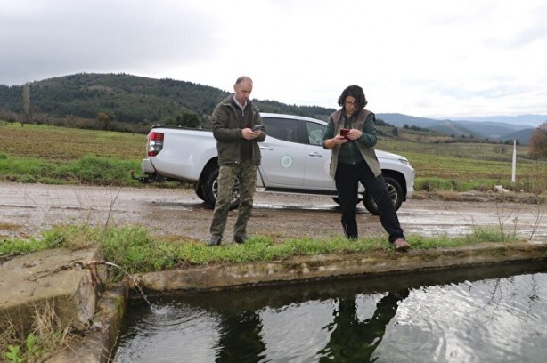 Foto - Nesli tükeniyordu! Bir vatandaş buldu