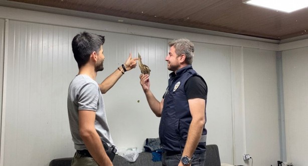 Foto - Nesli tükenme tehlikesi altında olan 'Balaban' Ağrı'da görüldü!