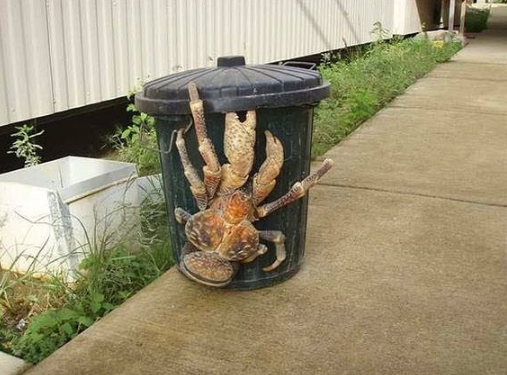 Foto - Nesli tükenme tehlikesinde! O ilimizde görüntülendi