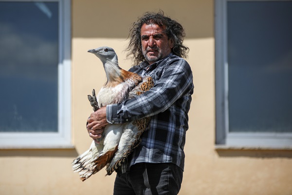 Foto - Nesli tükenmek üzere! Yolda bulunan "toy" kuşunu elleriyle besliyor