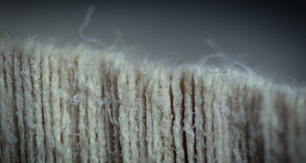 Foto - Nesneler yakın çekimden nasıl görünür?