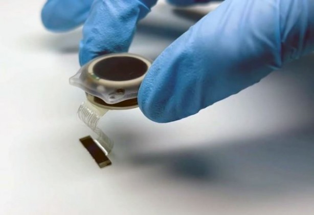 Foto - Neuralink ikinci hastaya çip yerleştirdi