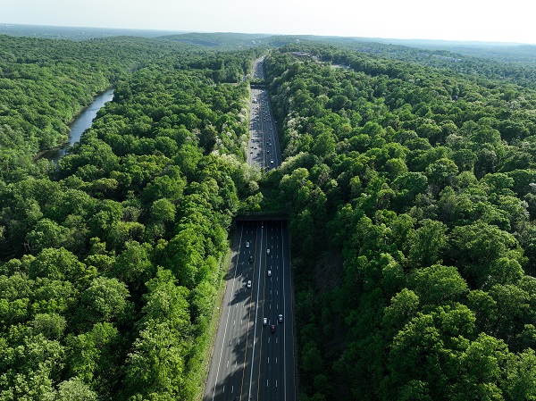 Foto - New Jersey'deki "Ekolojik Köprüler"