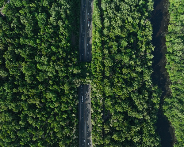 Foto - New Jersey'deki "Ekolojik Köprüler"